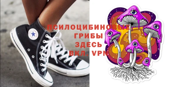 бошки Бородино